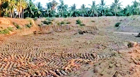 தண்ணீர் இல்லாத அய்யனார் குளம்.