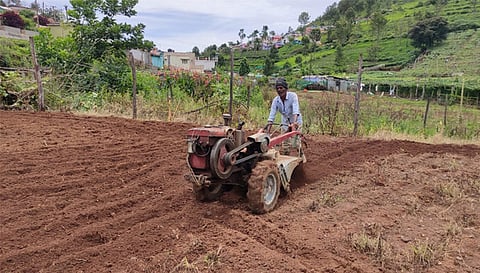 கோத்தகிரியில்   இயற்கை உரத்தால் மலை காய்கறிகள் அதிக விளைச்சல்