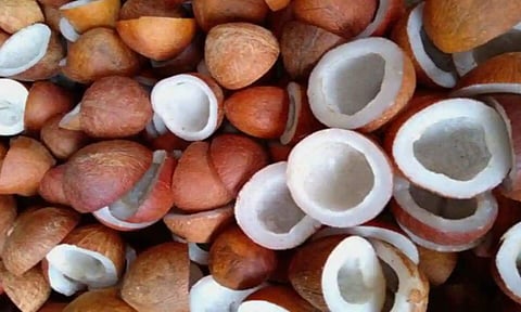 தேங்காய், கொப்பரை ரூ.1 லட்சத்து 34 ஆயிரத்துக்கு விற்பனை