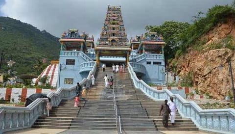மருதமலை சுப்பிரமணியசுவாமி கோவிலில் ஆடி கிருத்திகை விழா