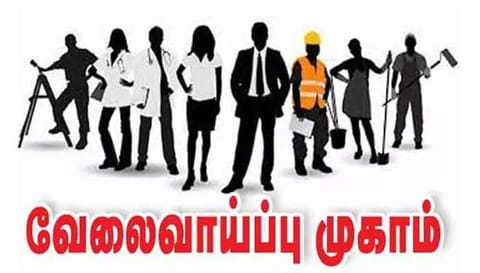 அரசு சார்பில் நடந்த வேலைவாய்ப்பு முகாமில் 102 பேர் பயன்