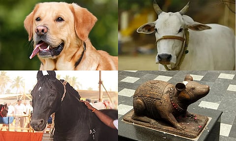 விலங்குகளும்... பயணச் சகுனங்களும்...