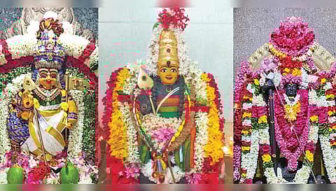 பேட்டை பகவதி அம்மன் கோவிலில் உள்ள முருகன், கோப்பணம்பாளையம் பரமேஸ்வரர் கோவிலில் உள்ள பாலமுருகன், விஜயகிரி வடபழனி ஆண்டவர் சிறப்பு அலங்காரத்தில் அருள்பாலித்த காட்சி.