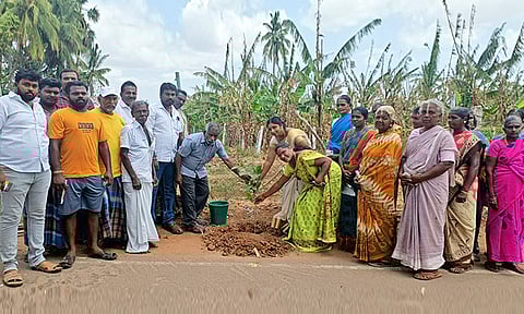 சிவத்தையாபுரத்தில் சாயர்புரம் பேரூராட்சி தலைவர் பாக்கியலெட்சுமி மரக்கன்று நடுகின்ற காட்சி.
