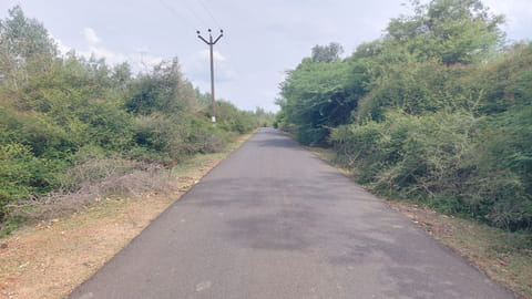 &nbsp;சிறுநாகலூர் செல்லும் சாலையில்&nbsp; முட்புதர்கள் மண்டி இருப்பதை படத்தில் காணலாம்.