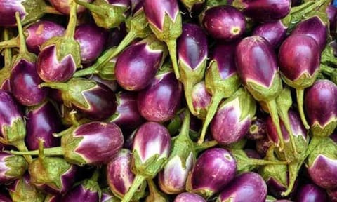 கோப்புபடம்.