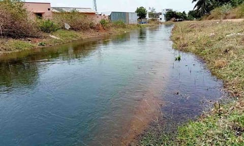 கோப்புபடம்.