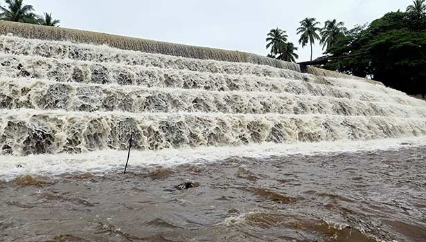 கொட்டக்குடி அணைப்பிள்ளையார் நீர்வீழ்ச்சியில் தண்ணீர் ஆர்ப்பரித்து ெகாட்டுவதை படத்தில் காணலாம்.