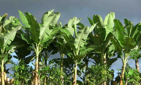 கோப்புபடம்.