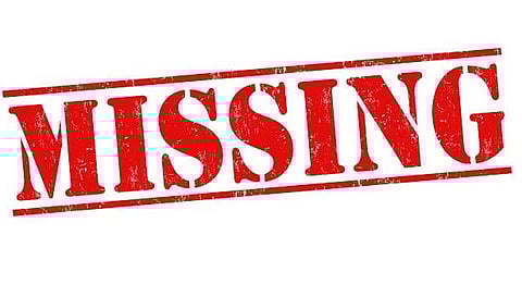 பொன்னேரி அருகே 1½ வயது குழந்தையுடன் தாய் மாயம்