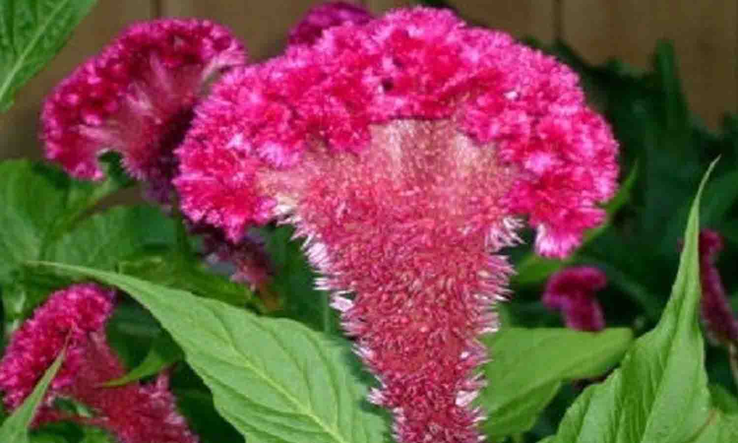 கோப்புபடம்.