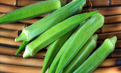 கோப்புபடம்.