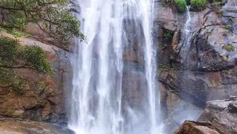 கொல்லிமலை ஆகாய கங்கை நீர்வீழ்ச்சிக்கு செல்ல தடை