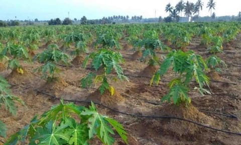 கோப்புபடம்.