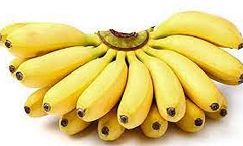 ரூ.5 லட்சத்து 64 ஆயிரத்திற்கு வாழைப்பழங்கள் ஏலம்