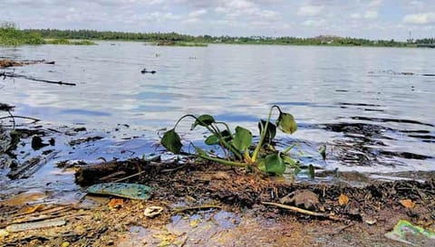 பக்தர்கள் இன்றி வெறிச்சோடி கிடக்கும் காவிரி ஆற்று பகுதியை படத்தில் காணலாம்.