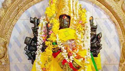 சிறப்பு அலங்காரத்தில காளியம்மன்.