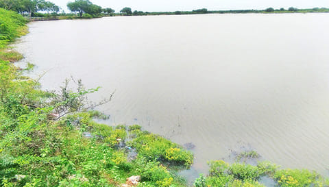 மழையால் நிரம்பியுள்ள செல்லப்பன்பேட்டை பெத்தமாதுரான் ஏரி.