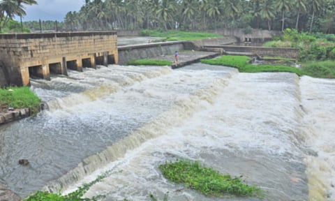 குமரி அணைக்கட்டிலிருந்து சீறிப்பாய்ந்து வரும் தண்ணீரை படத்தில் காணலாம்.