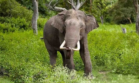 கோப்புபடம்.