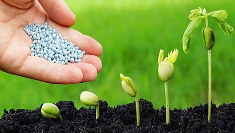 பரமத்தி வட்டாரத்தில் நுண்ணூட்ட உரக்கலவைகளை  மானிய விலையில் பெறலாம்