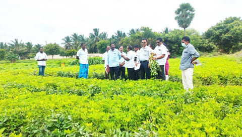 திட்டப்பணிகளை குடுமியான் மலை, சமிதி-ஸ்டாமின் இயக்குநர் ஆய்வு செய்த போது எடுத்த படம்.