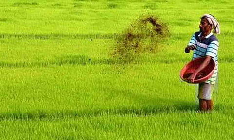 கோப்புபடம்.