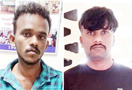 ஆடு திருடிய 2 வாலிபர்கள் கைது