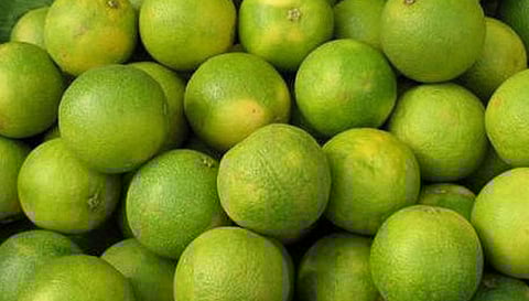 சுட்டெரிக்கும் கோடை வெயில்- சாத்துக்குடி விலை அதிகரிப்பு