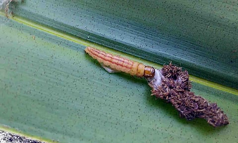 கோப்புபடம்.