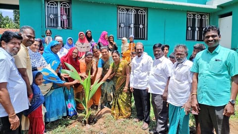 மரக்கன்று நடப்பட்டபோது எடுத்தபடம்.