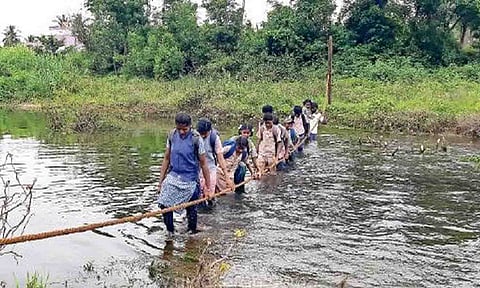 கோப்புபடம்.
