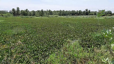 நொய்யல் ஆற்றில் வெள்ளம்-சூலூரில் நிரம்பதா குளங்கள்