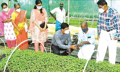 கோப்புபடம்.