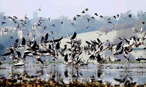 கோப்புபடம்.