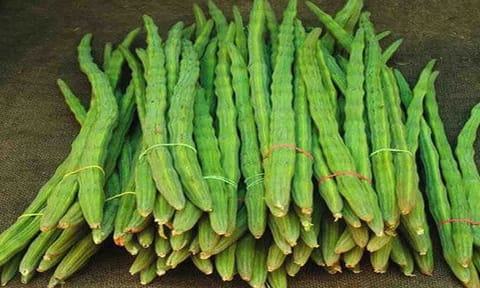 கோப்புபடம்.