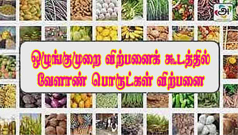 சாலைப்புதூர் ஒழுங்குமுறை விற்பனை கூடத்தில்  ரூ.34.16 லட்சத்துக்கு தேங்காய், நிலக்கடலை ஏலம்