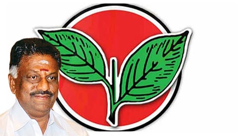 நெல்லையில் ஓ.பி.எஸ். அணியினர்  பட்டாசு வெடித்து கொண்டாட்டம்