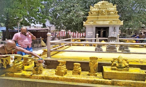 நாகராஜா கோவிலில் பக்தர்கள் வழிபட சிறப்பு ஏற்பாடுகள்
