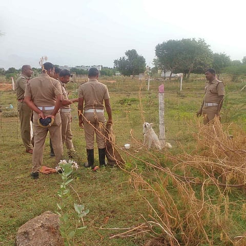 நாயை மீட்ட தீயணைப்பு வீரர்கள்.