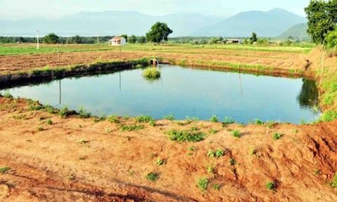கோப்புபடம்.