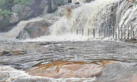 கோப்புபடம்.