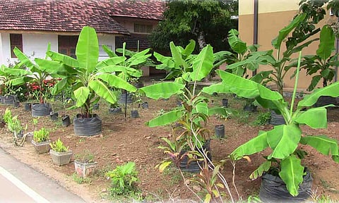 கோப்புபடம்.