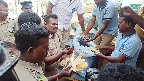 கீழக்கரையில் பறிமுதல் செய்யப்பட்ட கடல் அட்டைகள் மற்றும் சுறா பீலிகளை வனத்துறையினர் பார்வையிட்டனர்.