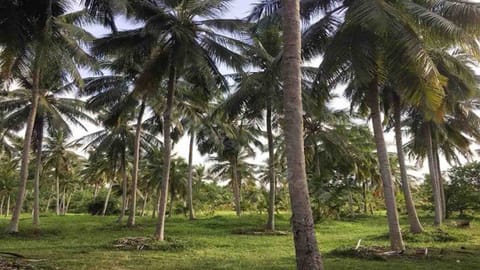 கோப்புபடம்.