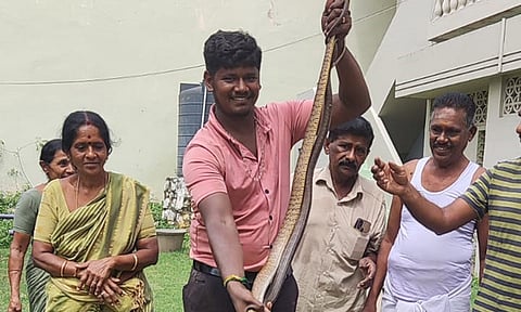 மழைக்காலம் தொடங்கியதால் வீடுகளுக்கு படையெடுக்கும் பாம்புகள்