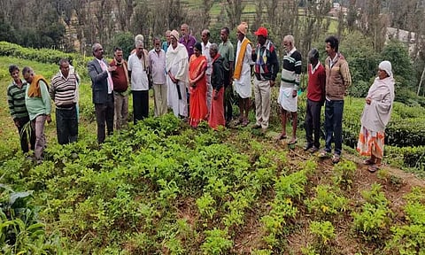 68 ஆயிரம் ஹெக்டரில் மண் அரிப்பு ஏற்படும் அபாயம்