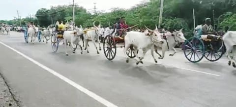 போட்டியில் சீறிப்பாய்நத மாட்டுவண்டிகள்.