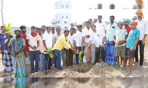 &nbsp;மரக்கன்றுகள் நடப்பட்ட காட்சி.