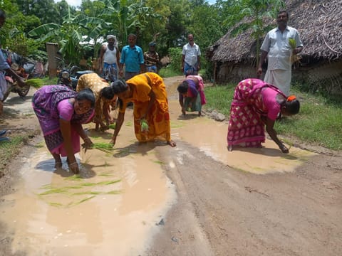 சாலையில் நாற்று நட்டு பெண்கள் போராட்டம் நடத்திய காட்சி.